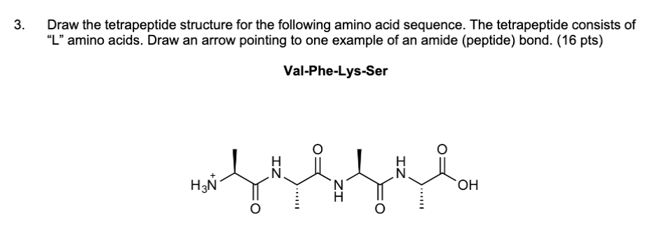 3 Draw The Tetrapeptide Structure For The Following Amino Acid Sequence The Tetrapeptide Consists Of L Amino Acids 1
