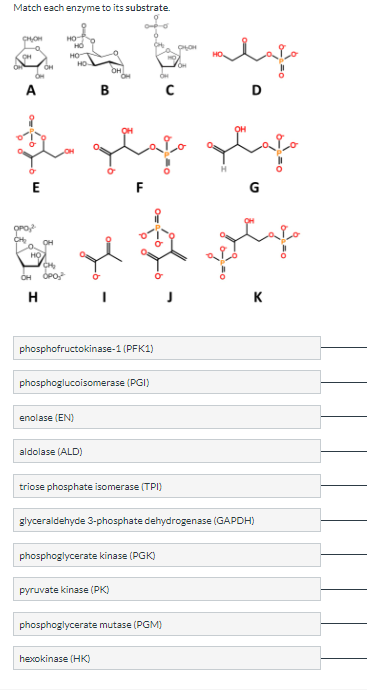 Match Each Enzyme To Its Substrate Ch Oh Oh A E Oh Ch Oh Opo H Ho Ho Ho Enolase En Lo Phosphofructokinase 1 Pfk1 O 1