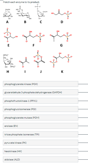Match Each Enzyme To Its Substrate Ch Oh Oh A E Oh Ch Oh Opo H Ho Ho Ho Enolase En Lo Phosphofructokinase 1 Pfk1 O 2
