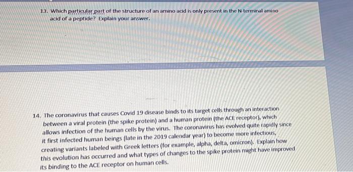 13 Which Particular Part Of The Structure Of An Amino Acid Is Only Present In The N Terminal Amino Acid Of A Peptide E 1