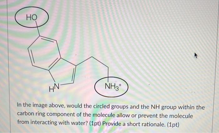 Ho Nh3 Hn In The Image Above Would The Circled Groups And The Nh Group Within The Carbon Ring Component Of The Molecu 1