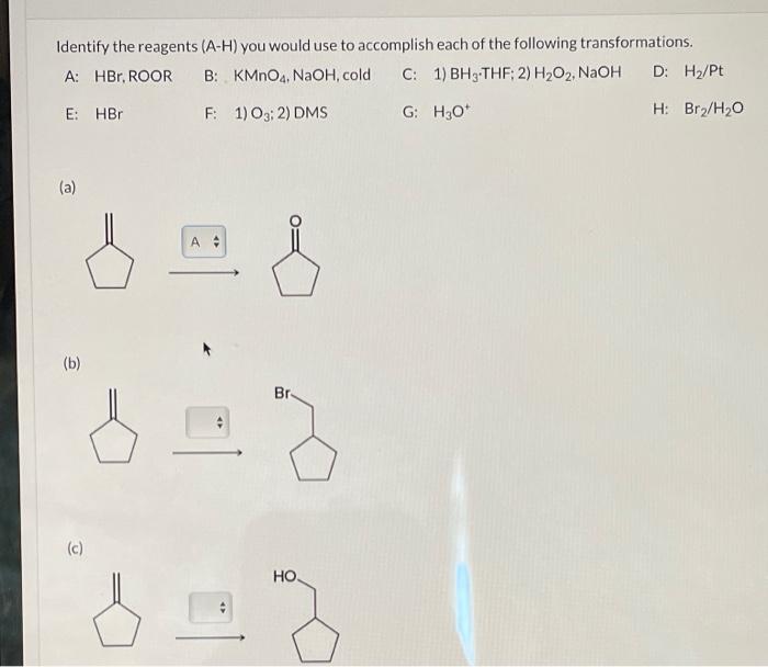 Identify The Reagents A H You Would Use To Accomplish Each Of The Following Transformations A Hbr Roor B Kmno4 Na 1