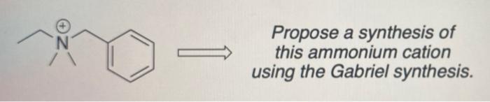 Propose A Synthesis Of This Ammonium Cation Using The Gabriel Synthesis 1