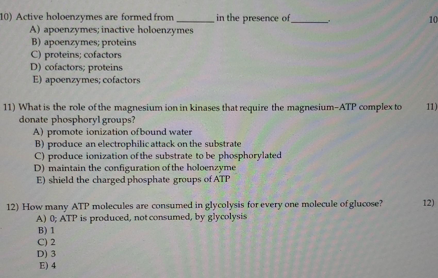 10 Active Holoenzymes Are Formed From A Apoenzymes Inactive Holoenzymes B Apoenzymes Proteins C Proteins Cofactor 1