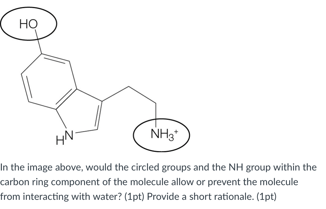Ho Nh3 Hn In The Image Above Would The Circled Groups And The Nh Group Within The Carbon Ring Component Of The Molecule 1