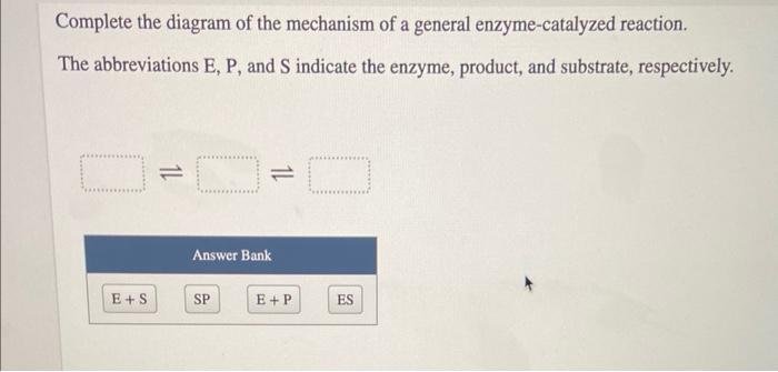 Complete The Diagram Of The Mechanism Of A General Enzyme Catalyzed Reaction The Abbreviations E P And S Indicate The 1