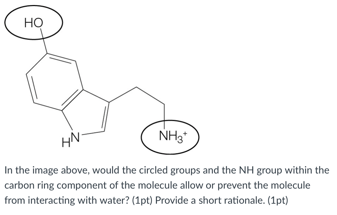 Ho Nh3 Hn In The Image Above Would The Circled Groups And The Nh Group Within The Carbon Ring Component Of The Molecule 1