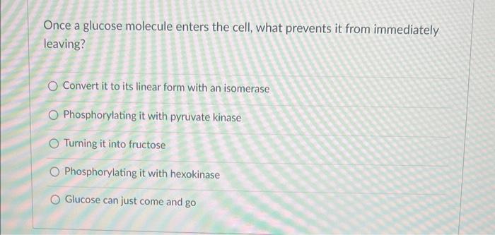 Once A Glucose Molecule Enters The Cell What Prevents It From Immediately Leaving O Convert It To Its Linear Form With 1