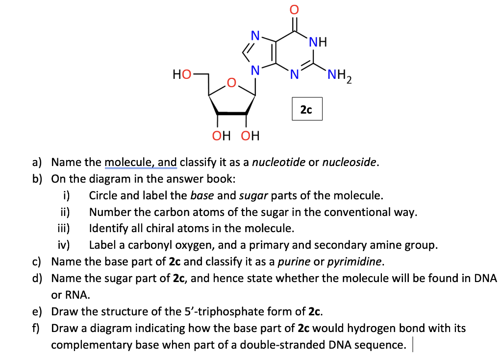 Ho Nh 2c Nh Oh Oh A Name The Molecule And Classify It As A Nucleotide Or Nucleoside B On The Diagram In The Answer 1