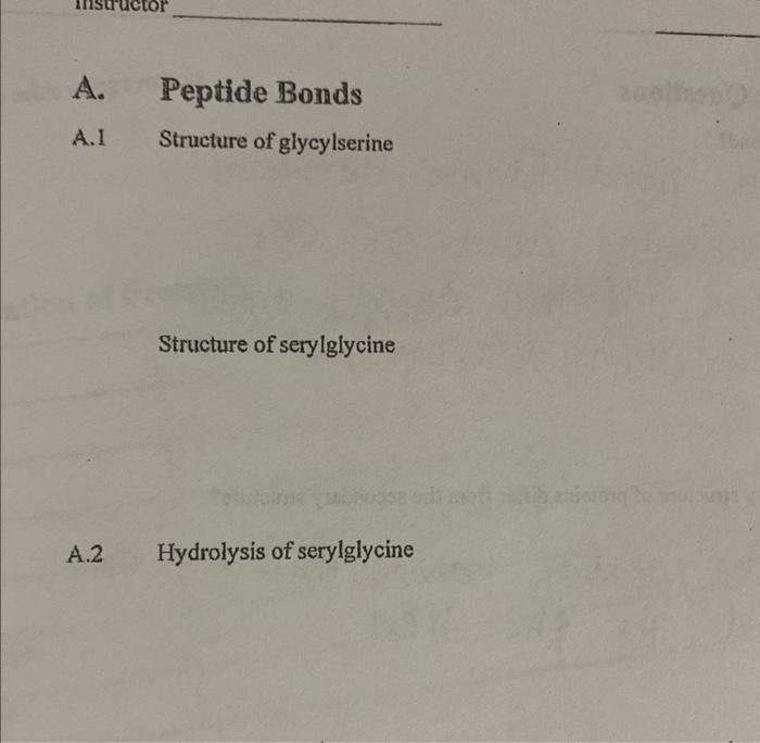 A A 1 A 2 Peptide Bonds Structure Of Glycylserine Structure Of Serylglycine Hydrolysis Of Serylglycine 2