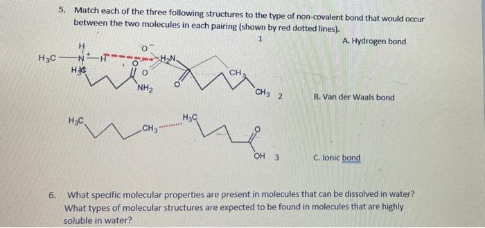H3c 6 5 Match Each Of The Three Following Structures To The Type Of Non Covalent Bond That Would Occur Between The Two 1