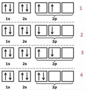 For An Atom Z 6 The Correct Configuration Option Following Orbital Filling According To Hund S Rule Would Be 1