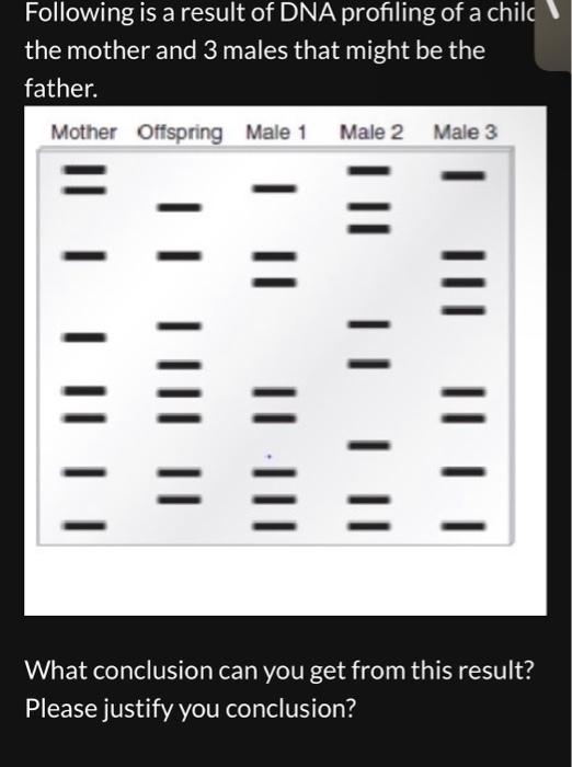 Following Is A Result Of Dna Profiling Of A Chil The Mother And 3 Males That Might Be The Father Mother Offspring Male 1