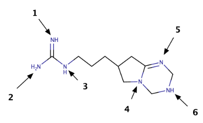 What Is The Most Basic Nitrogen I Just Need The Answer Not An Explanation 1