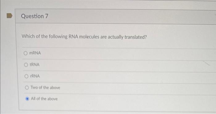 Question 7 Which Of The Following Rna Molecules Are Actually Translated Omrna Erna Rna Two Of The Above All Of The Abov 1