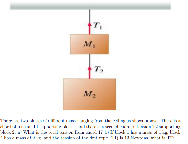 M T M There Are Two Blocks Of Different Mass Hanging From The Ceiling As Shown Above There Is A Chord Of Tension T1 1