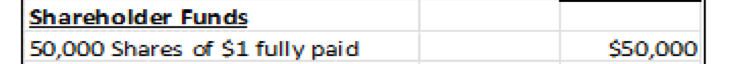 Shareholder Funds 50 000 Shares Of 1 Fully Paid 50 000 1
