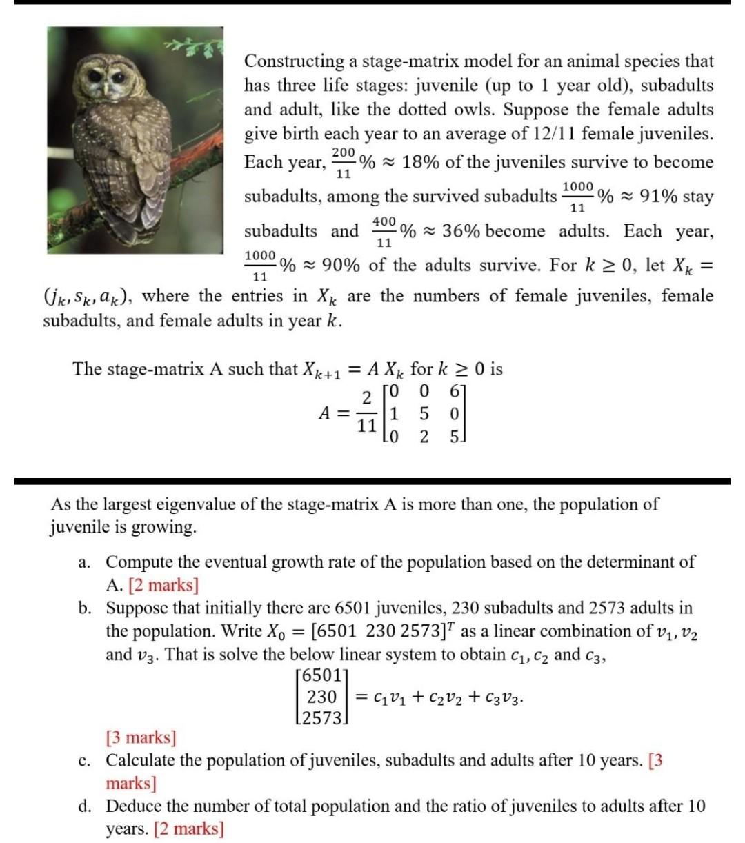 Constructing A Stage Matrix Model For An Animal Species That Has Three Life Stages Juvenile Up To 1 Year Old Subadul 1