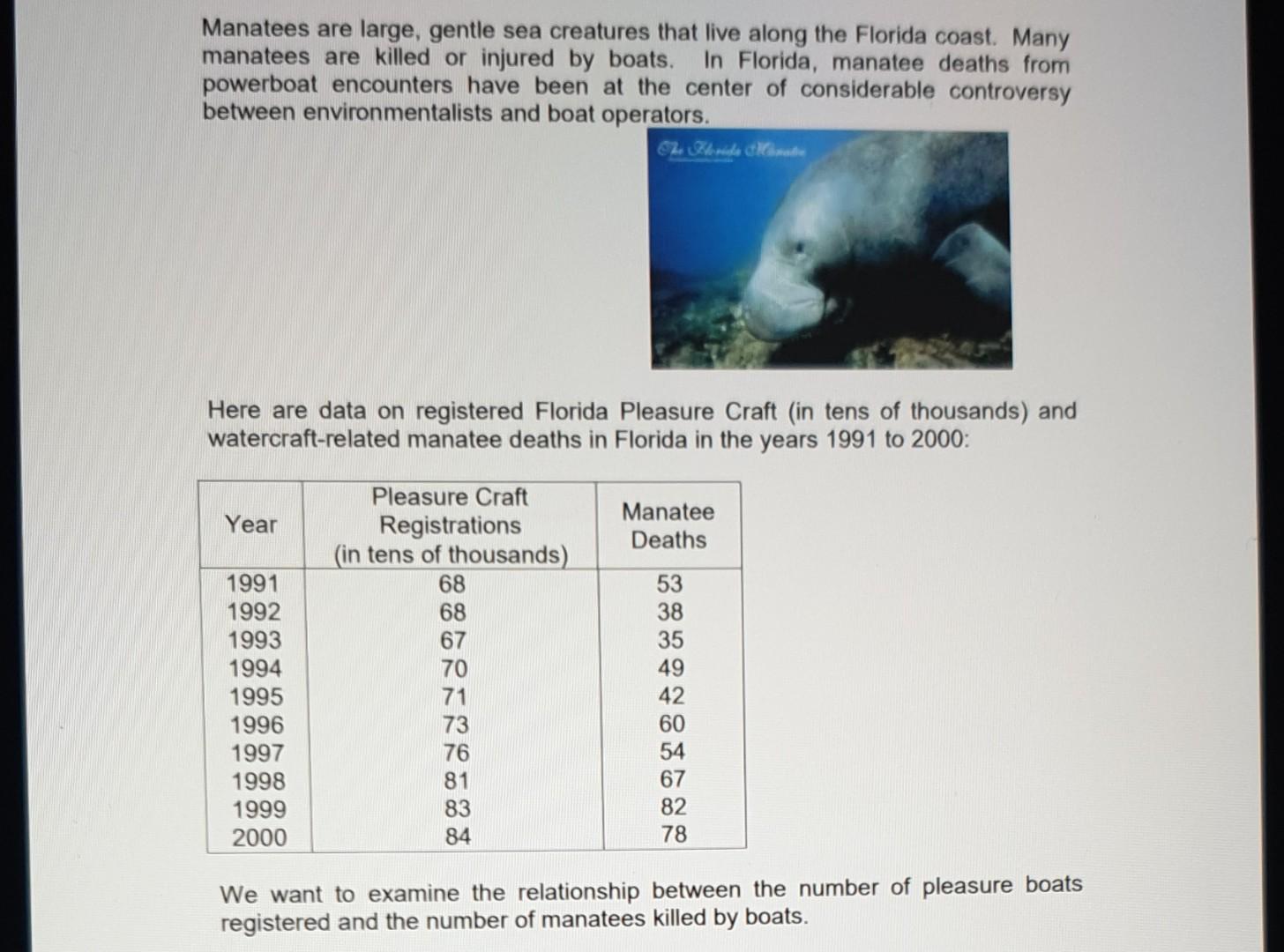Manatees Are Large Gentle Sea Creatures That Live Along The Florida Coast Many Manatees Are Killed Or Injured By Boats 1