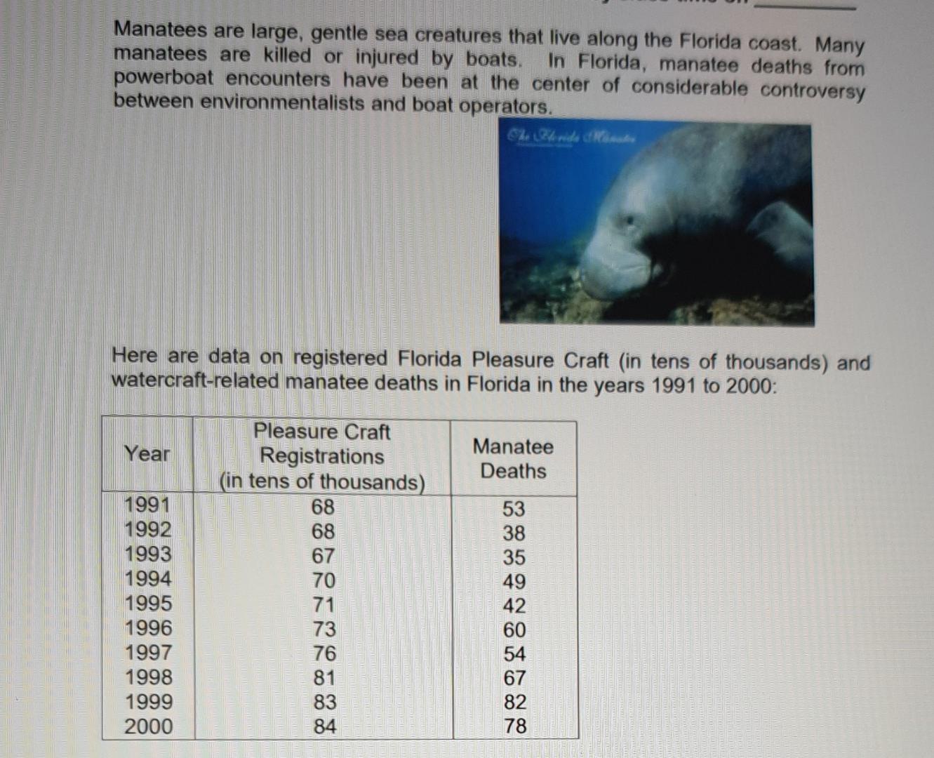Manatees Are Large Gentle Sea Creatures That Live Along The Florida Coast Many Manatees Are Killed Or Injured By Boats 1