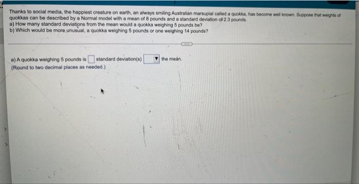 Thanks To Social Media The Happiest Creature On Earth An Always Smiling Australian Marsupial Called A Quokka Has Beco 1