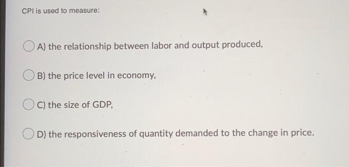 Cpi Is Used To Measure A The Relationship Between Labor And Output Produced B The Price Level In Economy Oc The Si 1