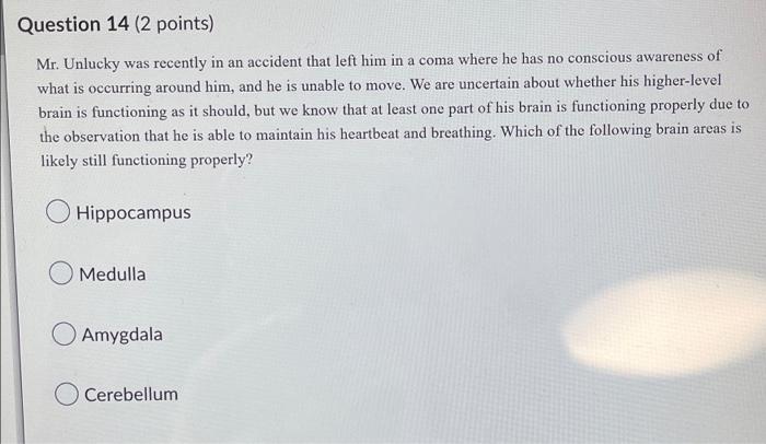 Question 14 2 Points Mr Unlucky Was Recently In An Accident That Left Him In A Coma Where He Has No Conscious Awarene 1