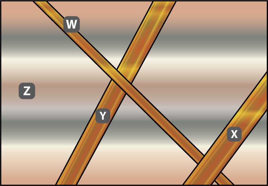For The Next 2 Questions Please Refer To The Image Below 1 From Oldest To Youngest What Is The Correct Sequence Of E 1