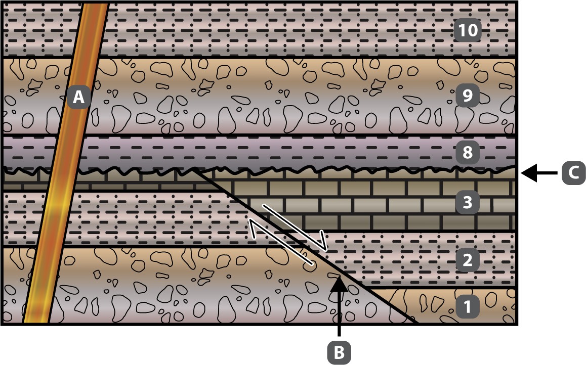Sort The Description Of Events From The Image Above From Oldest To Youngest 1