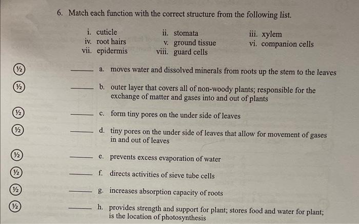 1 2 12 6 Match Each Function With The Correct Structure From The Following List Iii Xylem I 1