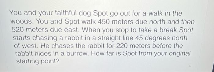 You And Your Faithful Dog Spot Go Out For A Walk In The Woods You And Spot Walk 450 Meters Due North And Then 520 Meter 1