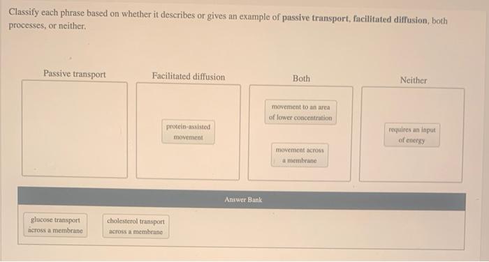 Classify Each Phrase Based On Whether It Describes Or Gives An Example Of Passive Transport Facilitated Diffusion Both 1
