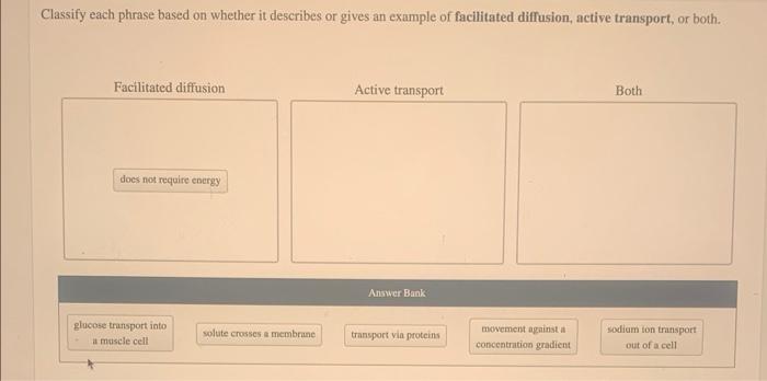 Classify Each Phrase Based On Whether It Describes Or Gives An Example Of Facilitated Diffusion Active Transport Or Bo 1