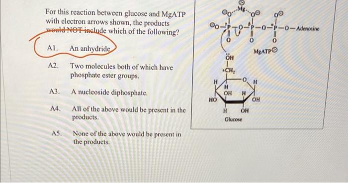 For This Reaction Between Glucose And Mgatp With Electron Arrows Shown The Products Would Not Include Which Of The Foll 1