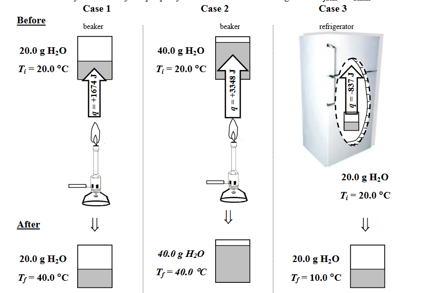 Please Look At The First Picture To Answer Key Questions 1