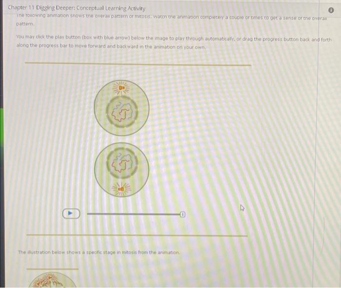 Chapter 11 Digging Deeper Conceptual Learning Activity Back To Assignment Attempts 5 The Cell Cycle Mitosis At The Be 2