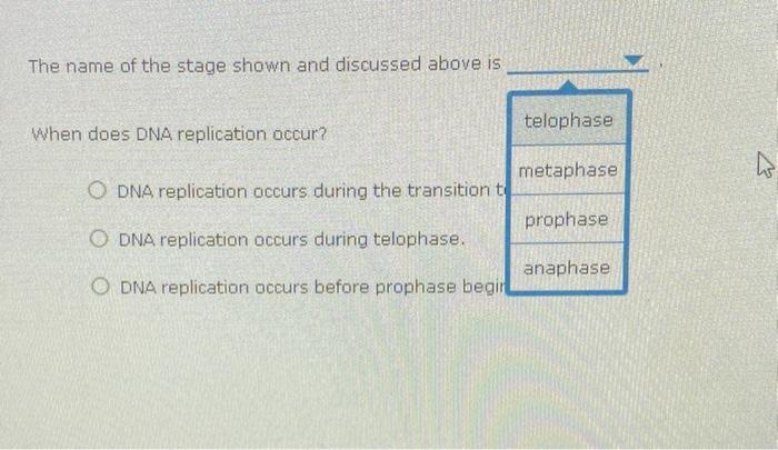 Chapter 11 Digging Deeper Conceptual Learning Activity Back To Assignment Attempts 5 The Cell Cycle Mitosis At The Be 4