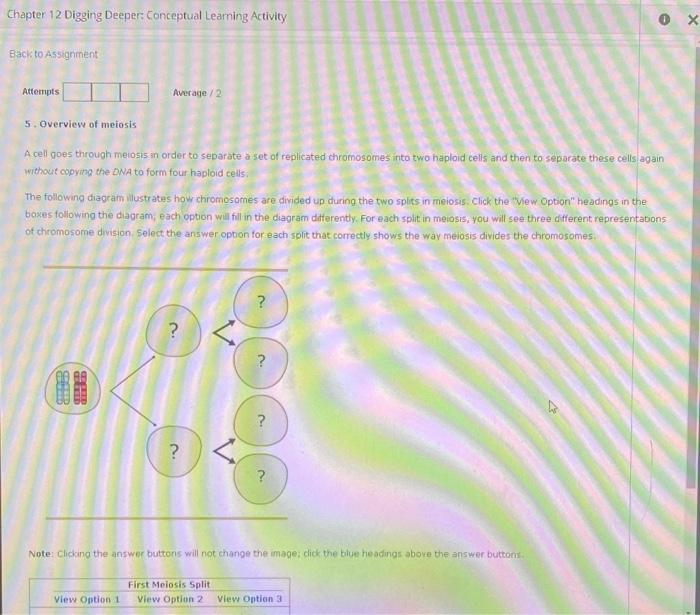 Chapter 12 Digging Deeper Conceptual Learning Activity Back To Assignment Attempts 5 Overview Of Meiosis Average 2 A C 1