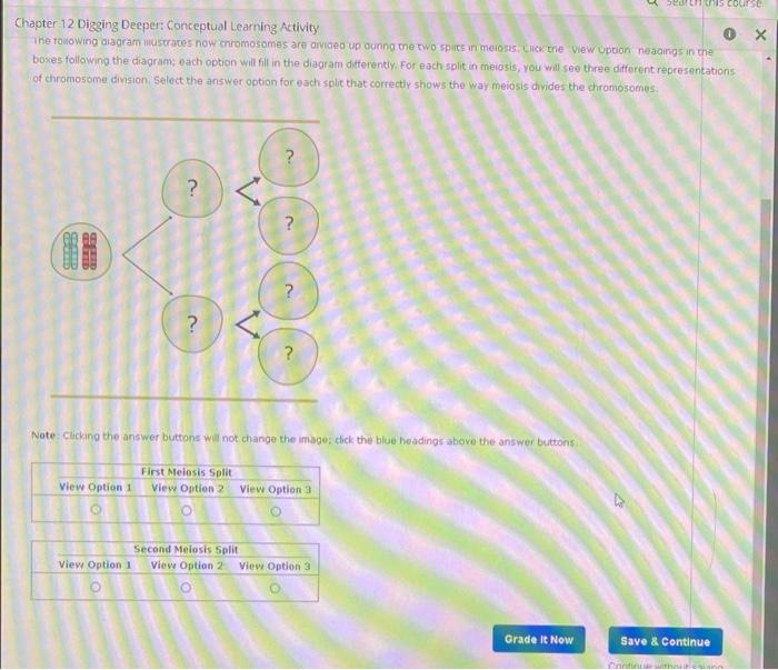 Chapter 12 Digging Deeper Conceptual Learning Activity Back To Assignment Attempts 5 Overview Of Meiosis Average 2 A C 2