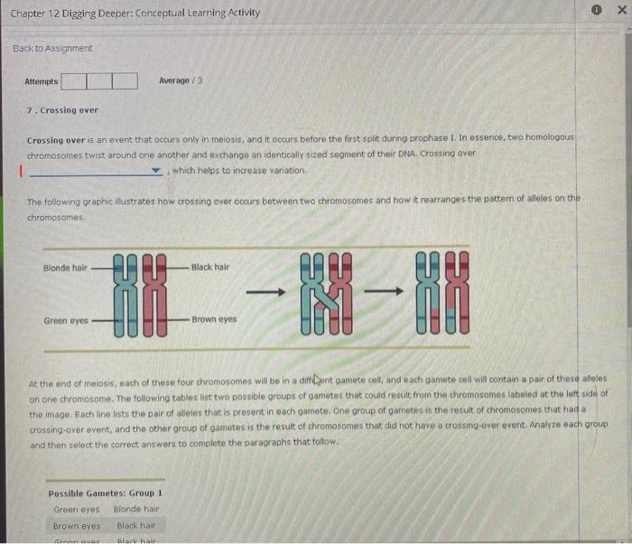 Chapter 12 Digging Deeper Conceptual Learning Activity Back To Assignment Attempts 7 Crossing Over Crossing Over Is An 1