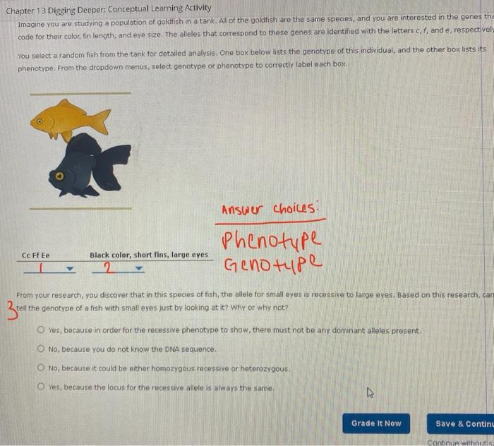 Chapter 13 Digging Deeper Conceptual Learning Activity Back To Assignment Attempts Average 21 3 Genotype Versus Phenot 2
