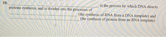 10 Proteins Synthesis And Is Divided Into The Processes Of Is The Process By Which Dna Directs The Synthesis Of Rna F 1