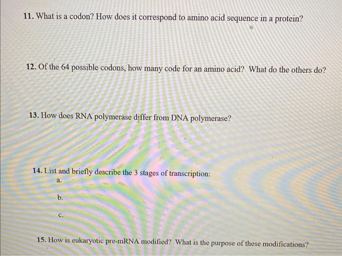 10 Proteins Synthesis And Is Divided Into The Processes Of Is The Process By Which Dna Directs The Synthesis Of Rna F 2