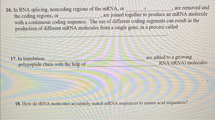 16 In Rna Splicing Noncoding Regions Of The Mrna Or Are Removed And The Coding Regions Or Are Joined Together To P 1