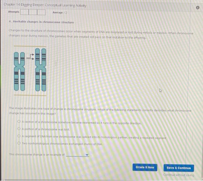 Chapter 14 Digging Deeper Conceptual Learning Activity Attempts Average 2 4 Heritable Changes In Chromosome Structure 1
