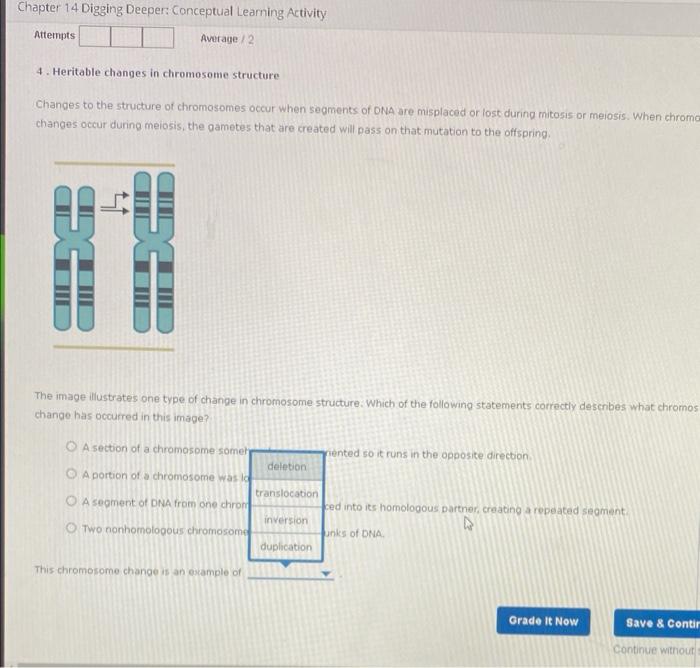 Chapter 14 Digging Deeper Conceptual Learning Activity Attempts Average 2 4 Heritable Changes In Chromosome Structure 2