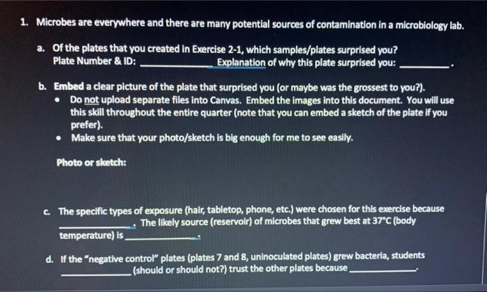 1 Microbes Are Everywhere And There Are Many Potential Sources Of Contamination In A Microbiology Lab A Of The Plates 1