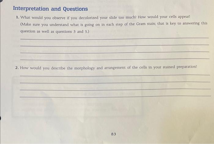 Interpretation And Questions 1 What Would You Observe If You Decolorized Your Slide Too Much How Would Your Cells Appe 1