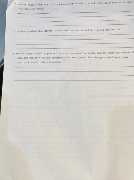 Interpretation And Questions 1 What Would You Observe If You Decolorized Your Slide Too Much How Would Your Cells Appe 2