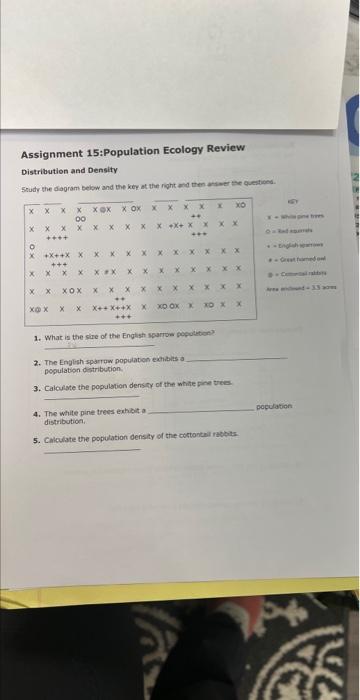 Assignment 15 Population Ecology Review Distribution And Density Study The Diagram Below And The Key At The Right And Th 1